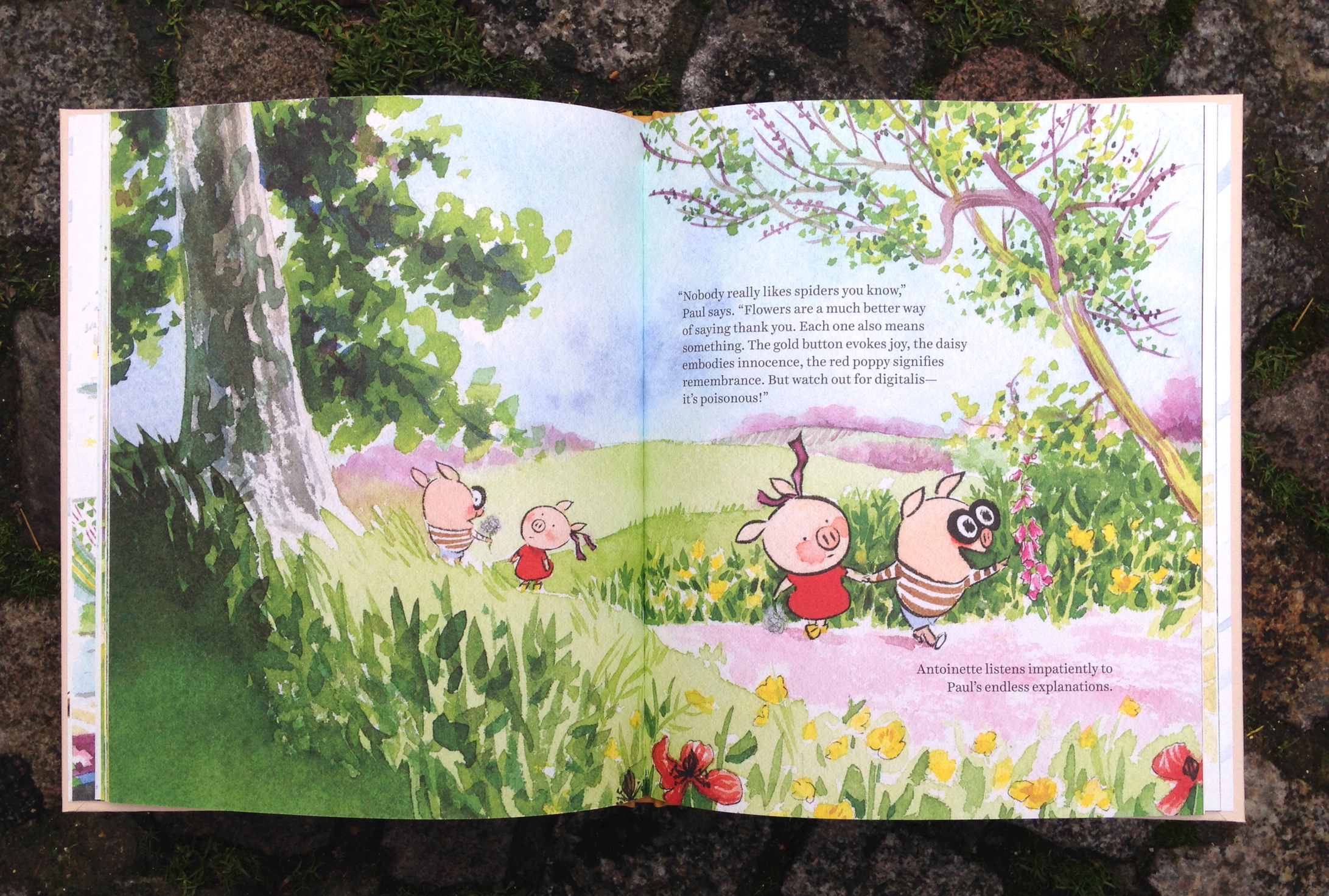 photo-pa-book-00007low